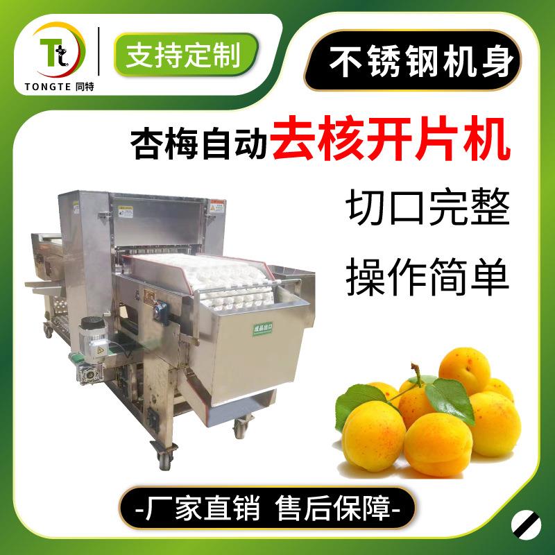 工厂直销去核机全自动杏梅取核分瓣机李子去芯切瓣一体机