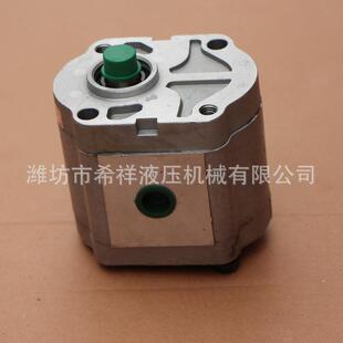 齿轮泵 定制大型机械液压马达液压泵 内螺纹