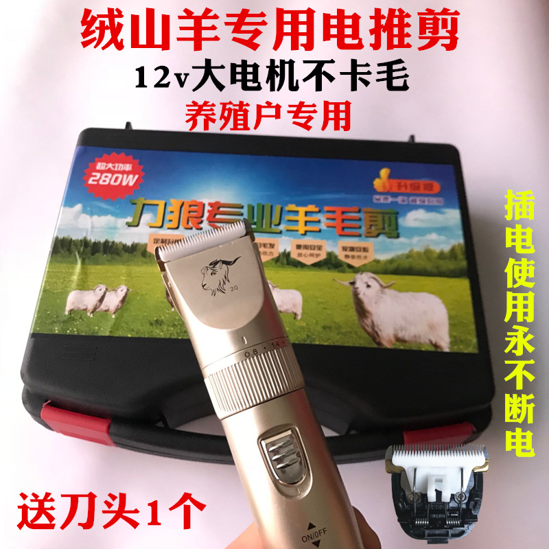 大功率绒山羊电推剪宠物剃毛器金毛狗电推子兔毛剪长毛兔推剪