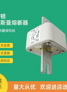 全新快速熔断器保险170M6163 170M6164 170M6165 170M6166
