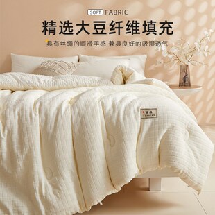 A类提花大豆被子被芯春秋四加厚保暖通被豆豆被被季冬用
