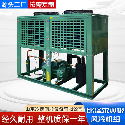 比泽尔双极机制冷压缩机厂家海鲜冷冻6F-30.2|30匹风冷水冷压缩机