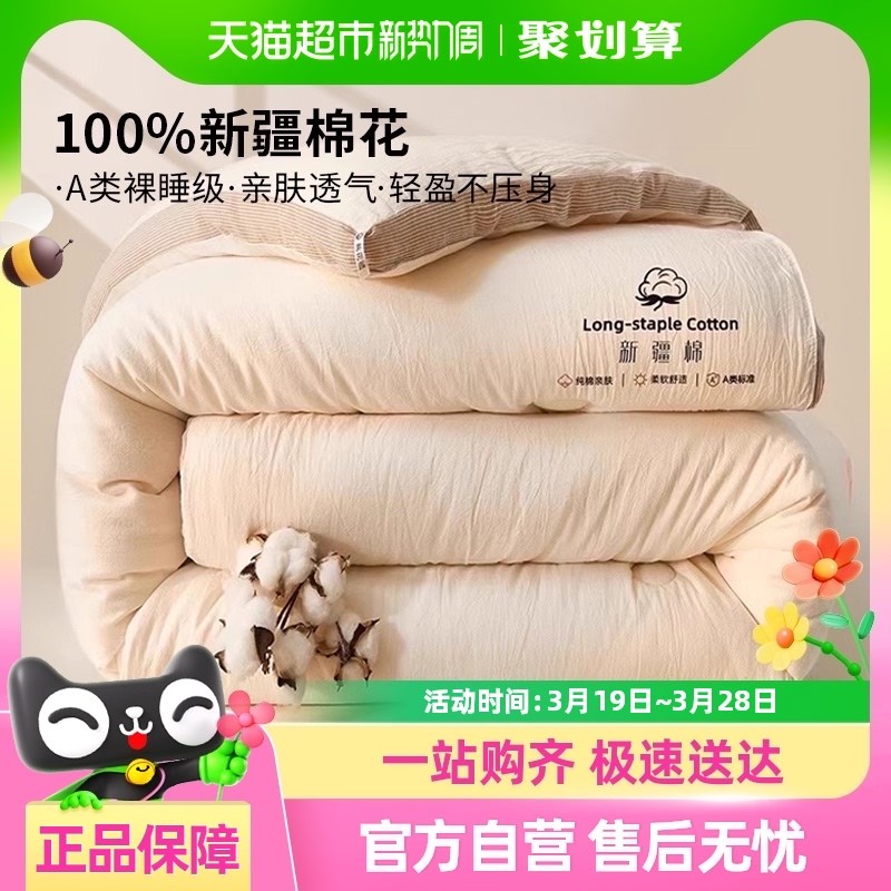 棉花被子冬被棉被冬季加厚保暖花被芯单人子母被棉絮