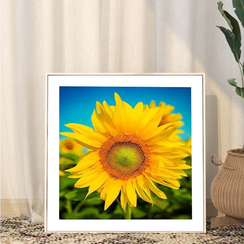 向日葵花卉装饰画田园风格现简约治渝挂画儿童房餐厅卧室床头画
