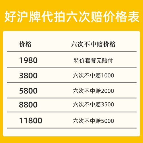 好沪牌代拍 低代拍沪牌 价中  赔付高 格标快