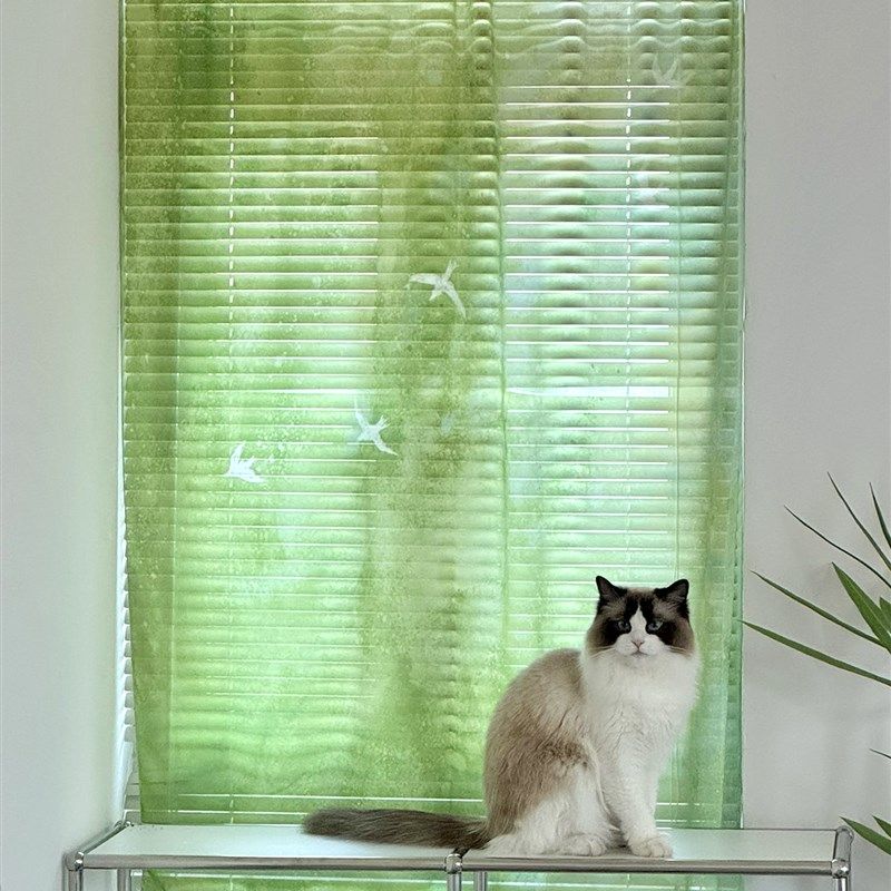 夏风半透明窗帘雪纺纱布绿色纱布浮动窗帘布门帘优雅窗帘阳台纱帘,居家布艺,成品窗帘,淘宝优惠券,粉丝福利购,淘宝优惠卷