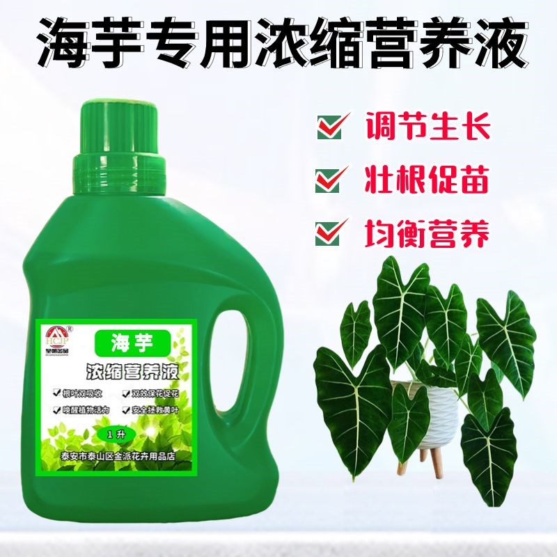 龙鳞大白绿绒海芋专用营养液盆栽植物氮磷钾料