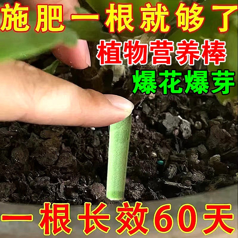 植物缓释肥营养棒养花通用型花肥家用盆栽覆合肥料发财树花卉绿植