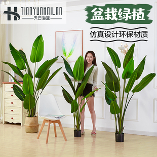 大型绿色仿真植物落地旅人蕉装饰树假盆栽室内绿植摆件散尾葵