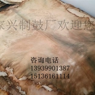 整张去毛羊皮本色羊皮鼓皮优质非洲鼓皮整张非洲鼓皮山羊皮