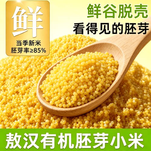 敖汉有机胚芽黄小米金苗k1新鲜米