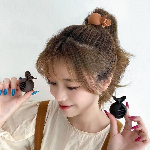 Simple Frosted Candy Color Hair Claw Matte High tail Fixed A