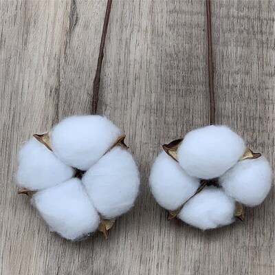 Immortal Cotton Dried Flowers, Simulated Single Kapok Bouque