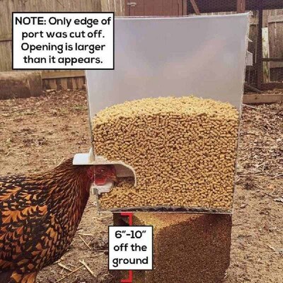 DIY Poultry Feeder with 4 Ports Weather Resistant Well Fit
