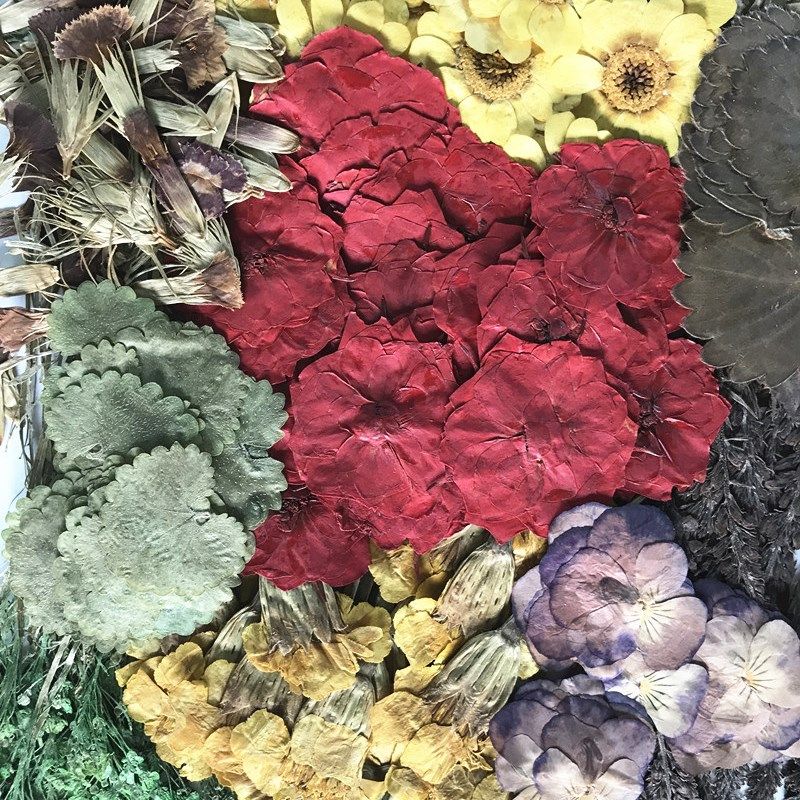 压花花胶包260朵 押工花材包 押花材料 滴材干花DIY手花一件包邮