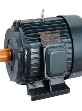 全新全铜保质YD802-4/20.55/0.75w双速电机马达三相异步电动机