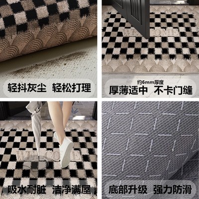 入户门地垫2025新款防滑耐脏家用现代简约门内外玄关地毯垫门垫子