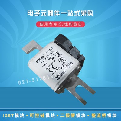 快速熔断器保险丝170M3169 3170 3171 3172 3173 3188 3189 3190
