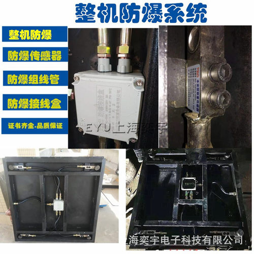 整体整机防爆电子称重系统等级Ex ia IIC T4 Ga隔爆型电子地磅秤