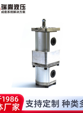 瑞胤 2BDPF可组合式高转速高压力 双联齿轮泵