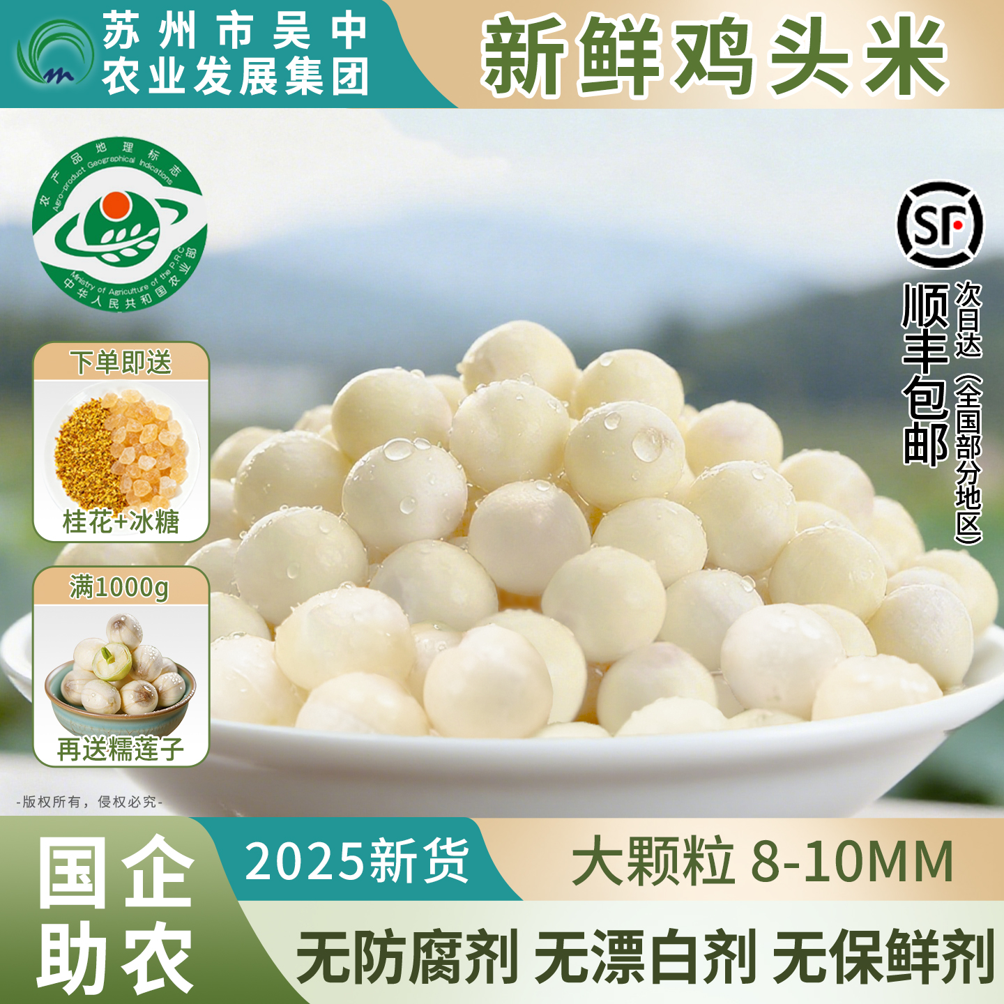 2025精选鸡头米大颗新鲜应季芡实