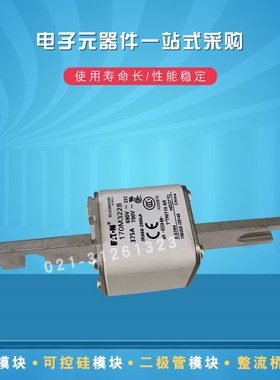快速熔断器保险丝170M3228 3229 3238 3239 3240 3241 3242 3243