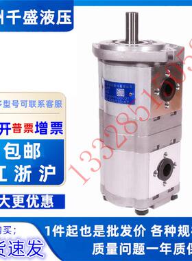 合肥长源双联齿轮泵CBWL-E316/E310 E308 E306 E316-TFZL/AFP/CLH