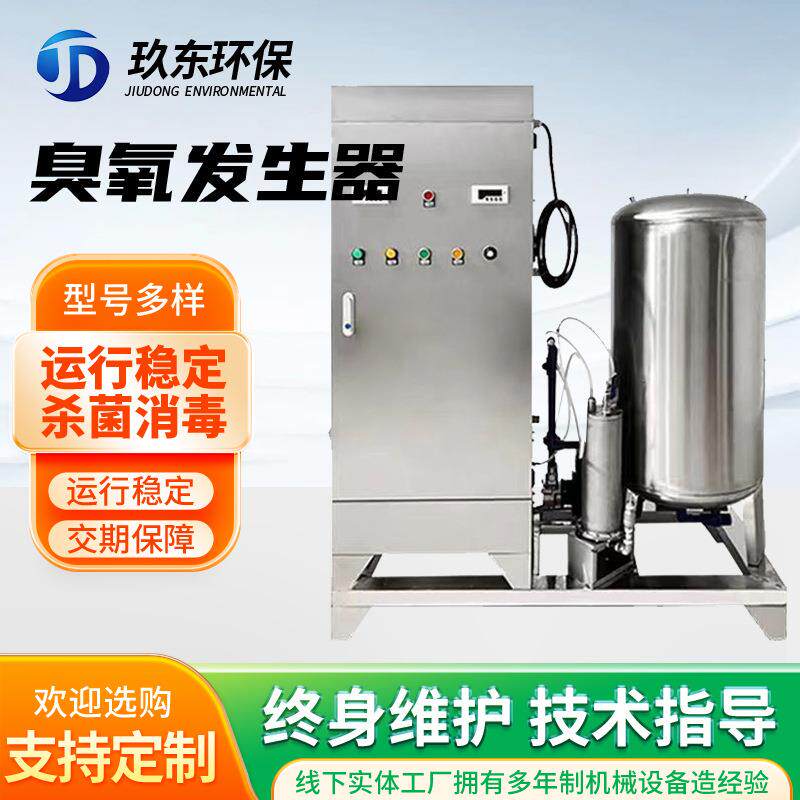 小型臭氧发生器厂家工业级污水处理臭氧机净化设备脱色化工使用