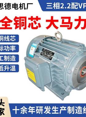 三相电动机380v液压站2.2/3/4/5.5/7.5W配VP20/40叶片泵电机