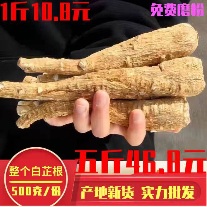 遂宁无硫新货白芷根免费磨粉