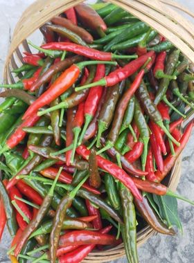 云南农家鲜辣椒小米椒青小米辣椒现摘鲜小尖椒当季辣椒