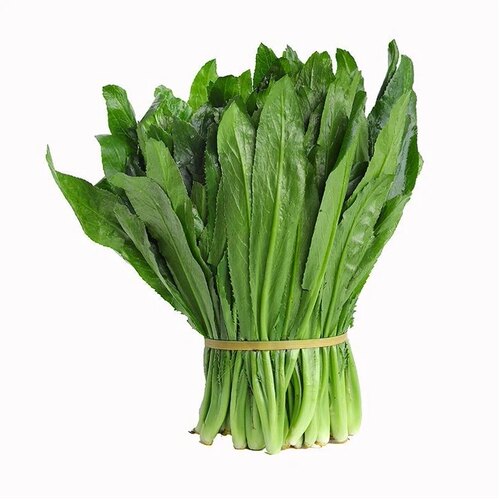 云南德宏新鲜大芫荽刺芫荽