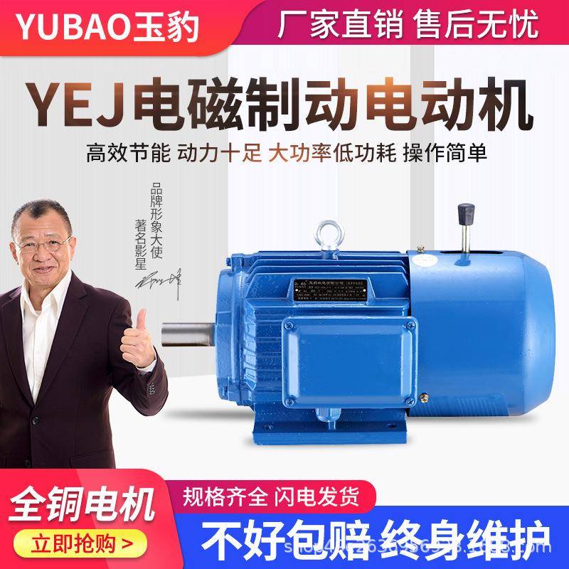 铜芯Y2EJ电磁制动三相异步电动机380V失电刹车电机铜线马达带抱闸