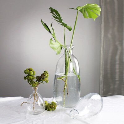 aheu透明不对称玻璃花瓶自然形态大号马醉木吊钟水养花器