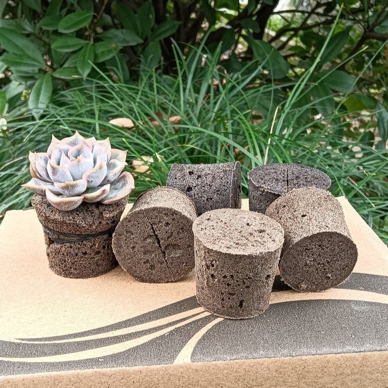 生物炭绵无土多肉专用海绵 营养碳棉 多物无土种植定制海绵,农用物资,育苗/栽培基质,淘宝优惠券,粉丝福利购,淘宝优惠卷