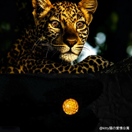 爆闪芬达烟花切钛钢耳骨钉