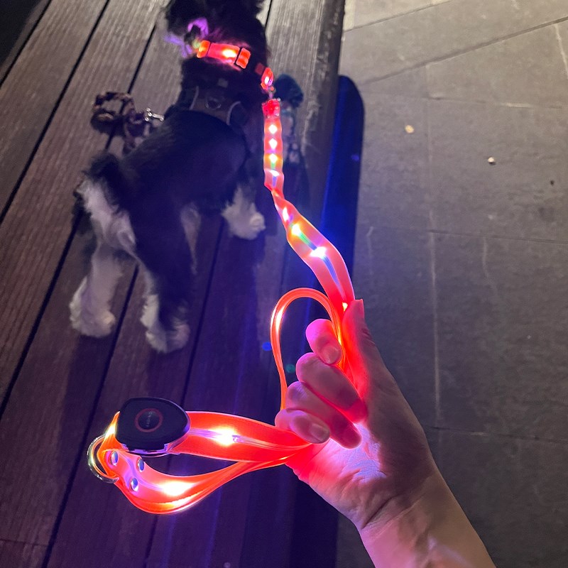 24新款可发光项圈狗脖圈狗狗夜光灯遛狗防走失灯夜行灯狗狗牵引绳