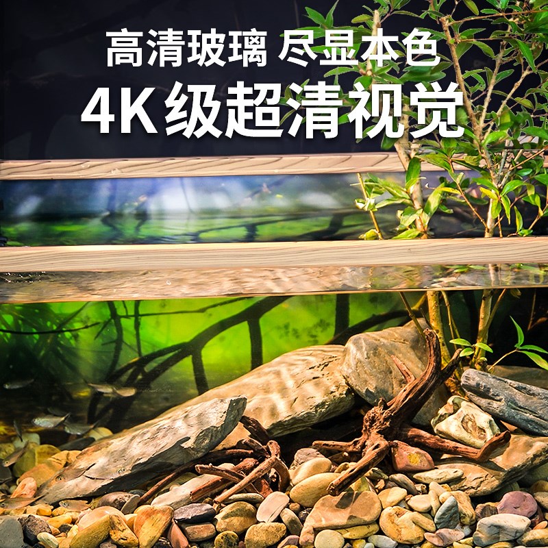 新款玻璃鱼缸原生南美溪流缸造景家用客厅小型金鱼缸生态龟缸