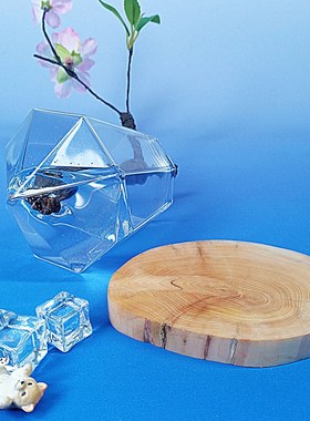 不倒翁水培花摆件反重力艺术花艺酒柜创意趣味小装饰品工艺微景观