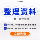 文件整理资料数据代办公人工pdf转换打字录入扫描帮忙图片信息wps