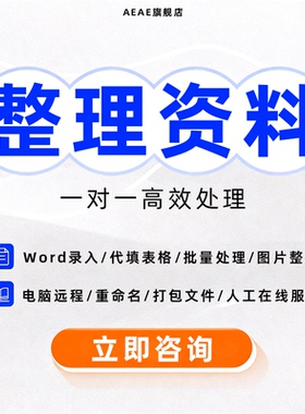 文件整理资料数据代办公人工pdf转换打字录入扫描帮忙图片信息wps