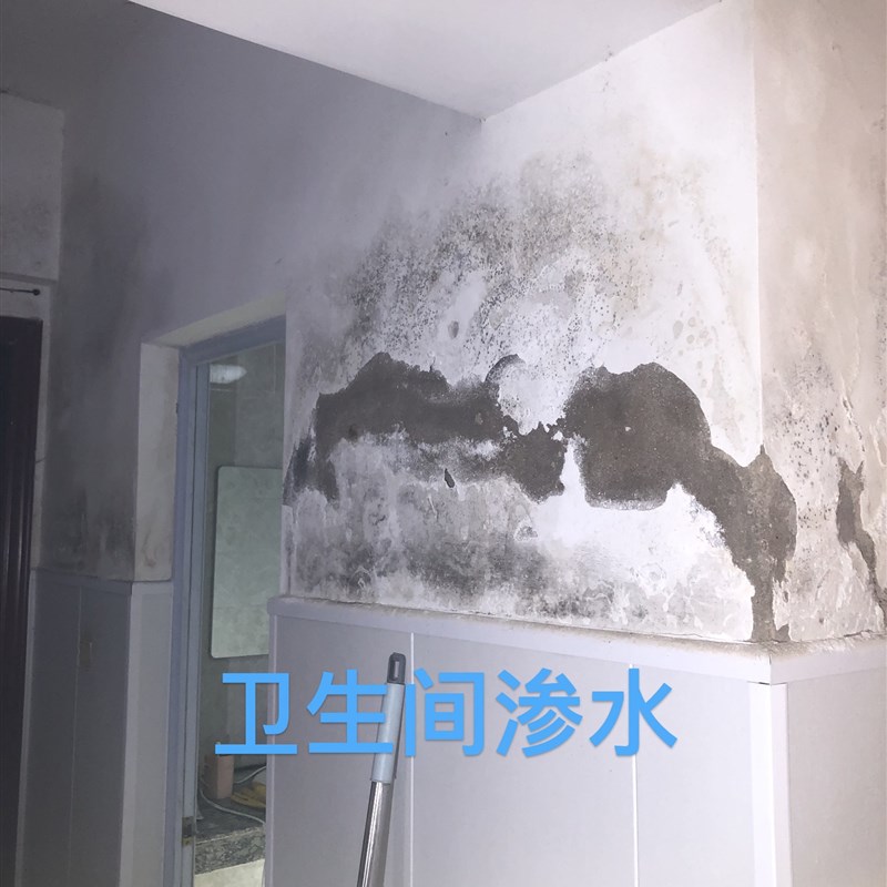 房屋渗漏水检测维修,维修水管,维修防水,免砸砖防水,仪器检测