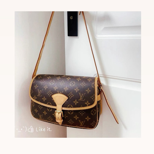 【98新】Louis Vuitton/【中古法棍】/植鞣革修复