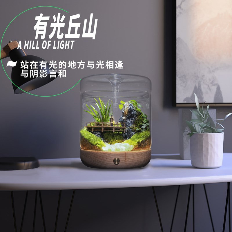 丘辰苔藓微景观生态瓶办公桌面绿植花卉盆栽室内客厅植物y摆件