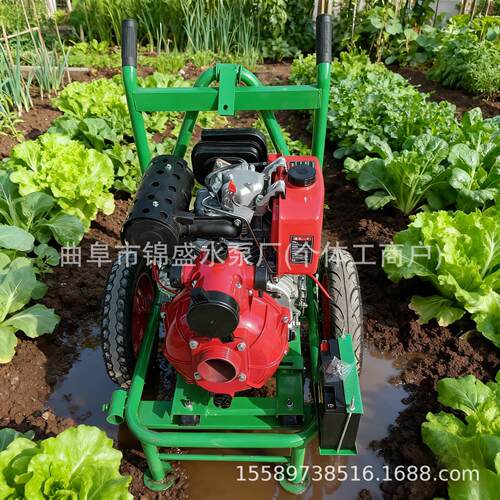 厂家现货柴油机水泵一体机 农用灌溉自吸排水泵家用小型自吸泵