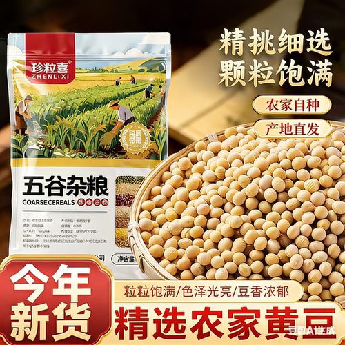 2025年黄豆新货500g袋装杂粮正宗农家老品种生豆芽打豆浆豆子杂粮