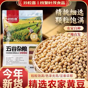 2025年黄豆新货500g袋装杂粮正宗农家老品种生豆芽打豆浆豆子杂粮