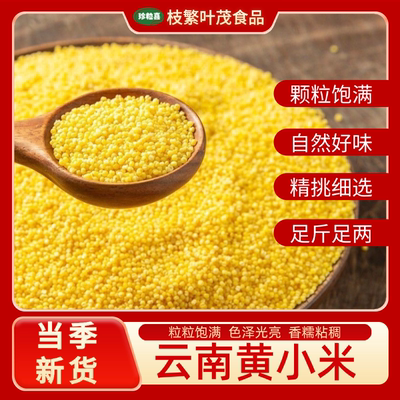珍粒喜黄小米 云南农家优质杂粮月子米煲粥烹饪辅食 高山生态黄米