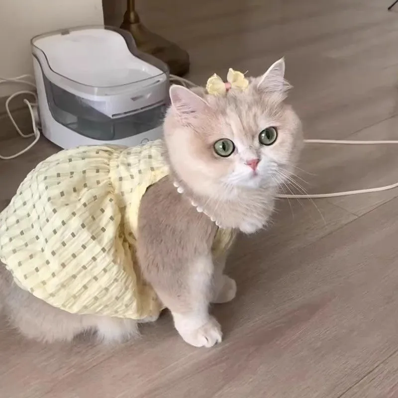 猫咪夏天衣服小裙子防掉毛可爱ins金渐层布偶小猫英短夏季吊带裙