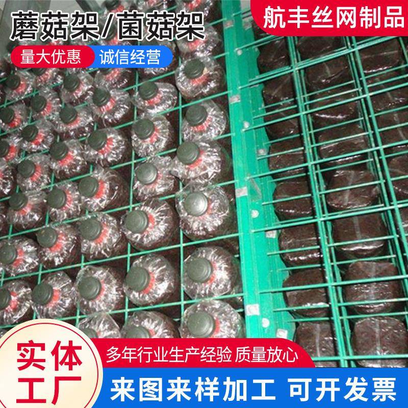 家用蘑菇架发菌房培菌食用菌出菇架绿色网格网架大棚养殖蘑菇架